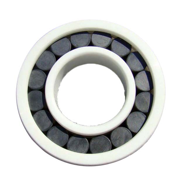 Ceramic Cylindrical Roller Bearings
